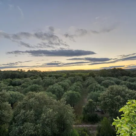 Restaurant Le Gardon - Pont Du Gard 호텔